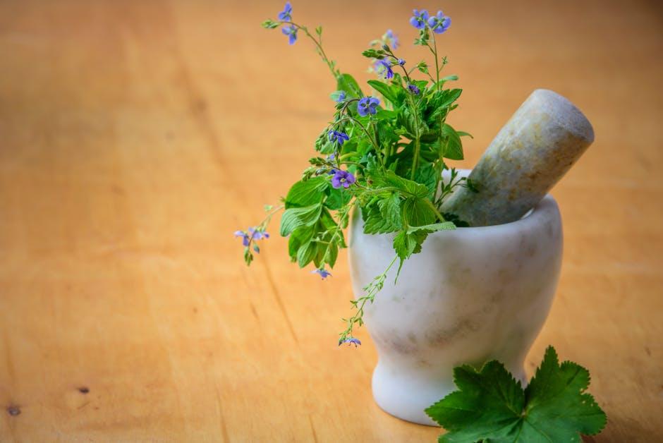 How to Use Herbs and Spices for Better Digestion and Comfort