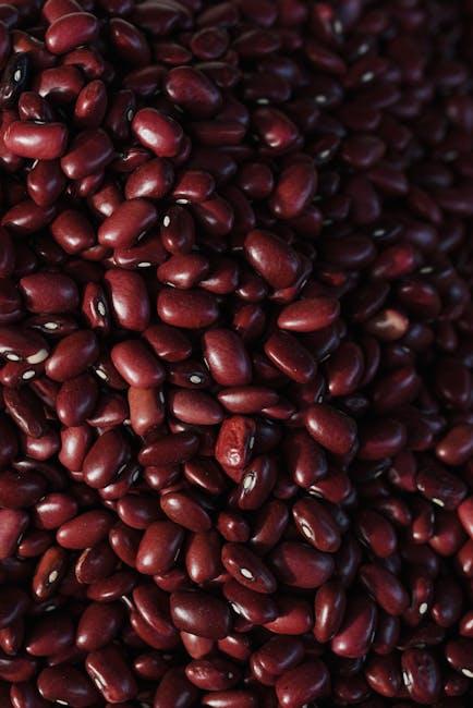Essential Ingredients and Pantry Staples for GAPS-Friendly Comfort Meals