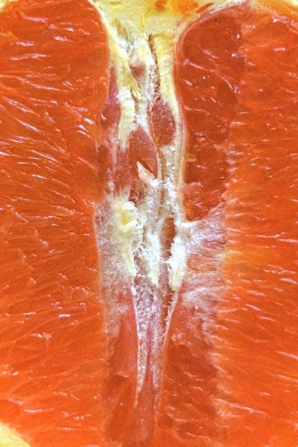 Maximizing Nutrient Absorption During the Full GAPS Diet Stage