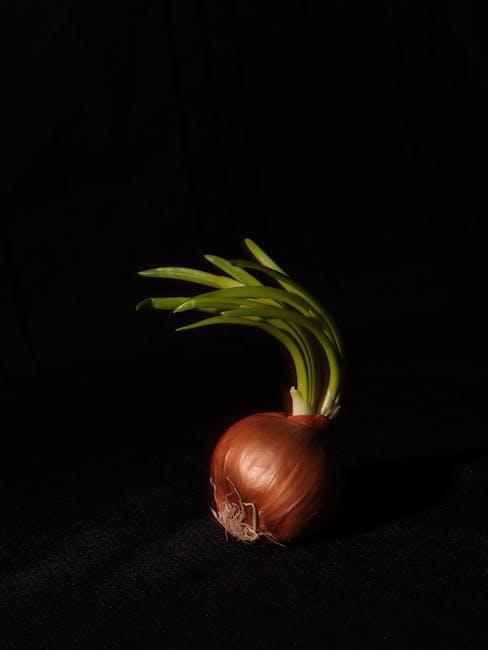 Understanding the Root Causes Beyond Symptoms