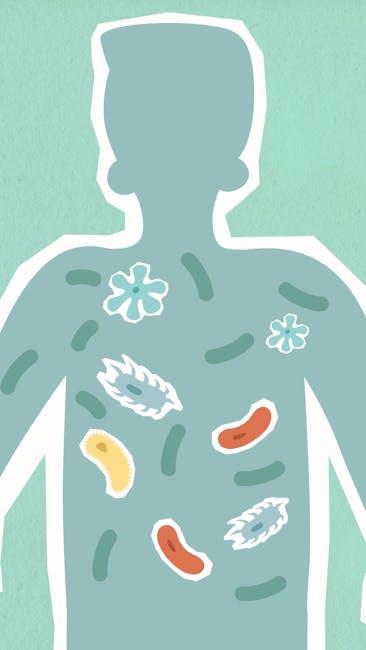 Understanding the Role of Probiotics Beyond the Hype
