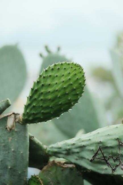 Navigating Dietary Changes Together for Optimal Gut Healing