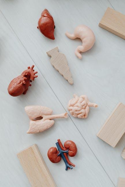 The Science Behind Keto and Brain Function