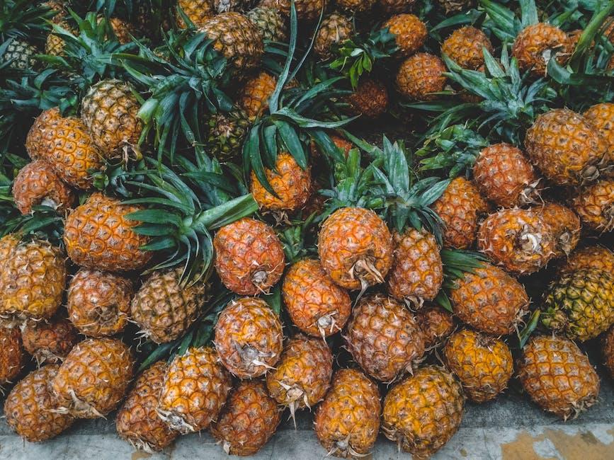 Understanding the Basics of Total Carbohydrates and Their Role in Nutrition