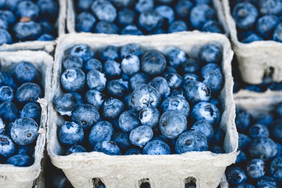 Keto Dessert Basics Understanding Low-Carb Sweeteners and Ingredients