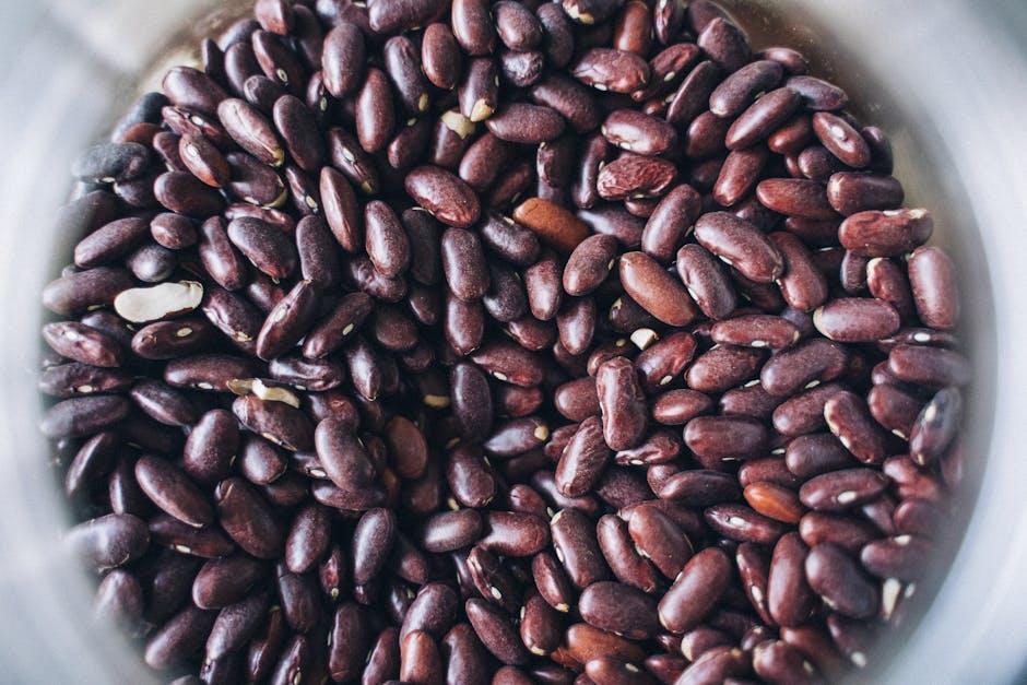 Understanding the Foundations of the GAPS Diet Full Protocol