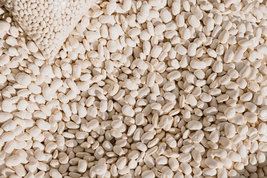 Budget-Friendly Fats That Boost Ketosis
