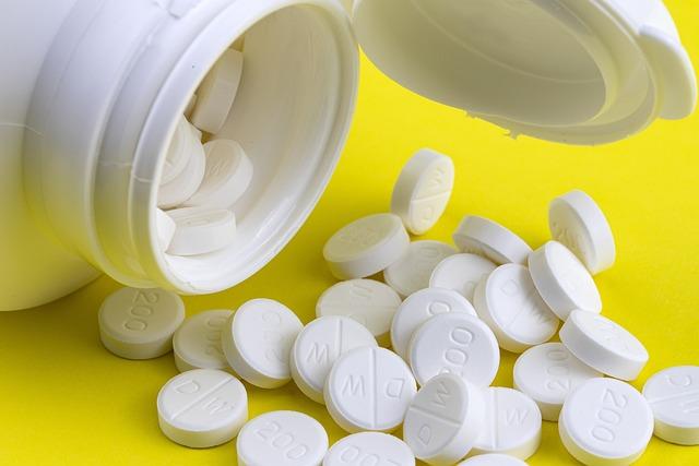 Incorporating Fermented Supplements into Your Daily Gut Healing Routine