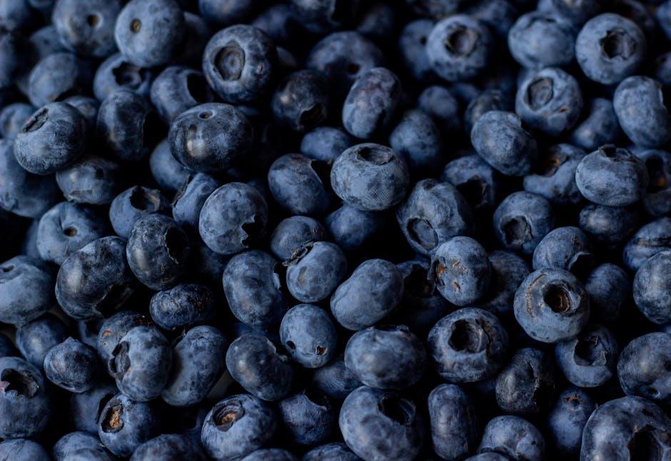 Crafting Balanced Macronutrients for Optimal Keto Performance