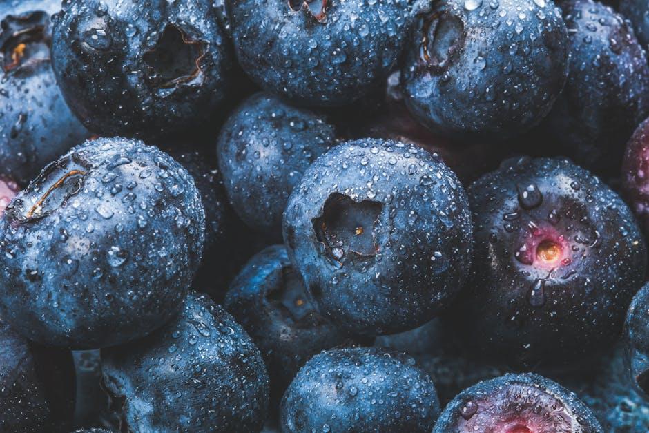 Simple and Satisfying Keto Breakfasts to Start Your Day