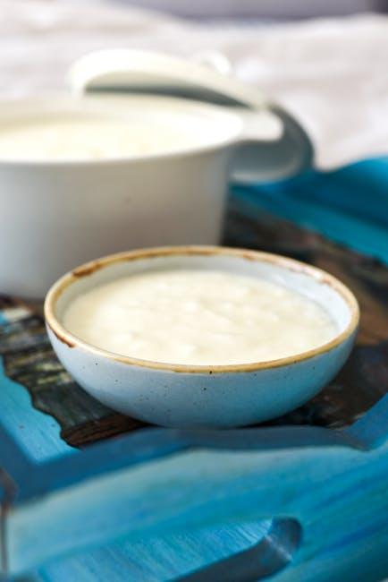 Choosing the Best Fermented Foods for GAPS Diet Success