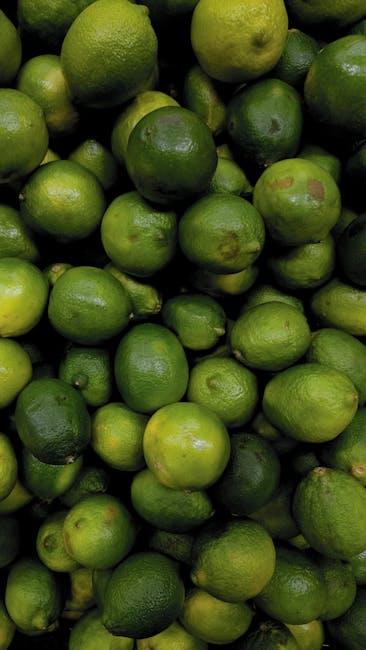 Introduction to the GAPS Diet and Its Core Principles