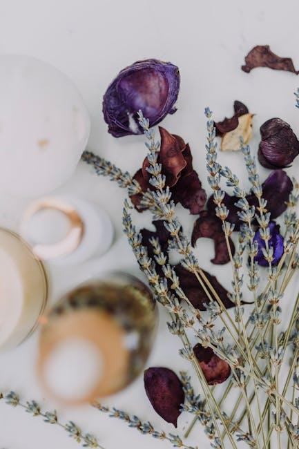 The Role of Gut Health in Skin Healing