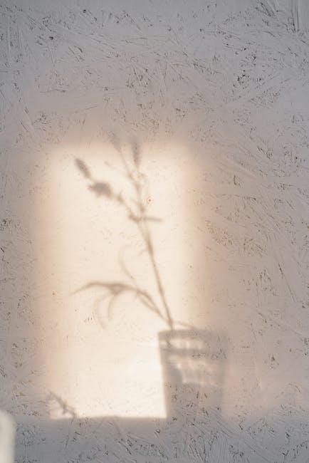 Understanding Shifts in Energy and Mental Clarity