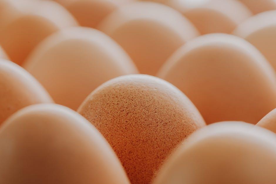 Understanding the Fundamentals of the GAPS Diet for Smart Shopping