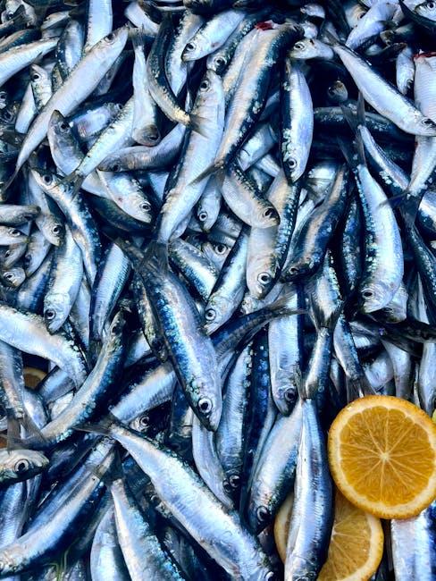Strategies for Gradual Food Reintroduction to Avoid Digestive Setbacks