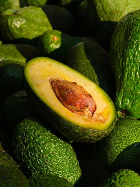 Understanding the Core Principles of the GAPS Diet