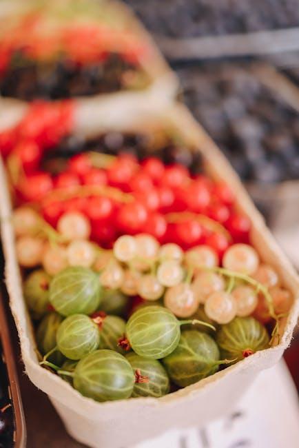 Understanding the Connection Between Food Allergies and Gut Health