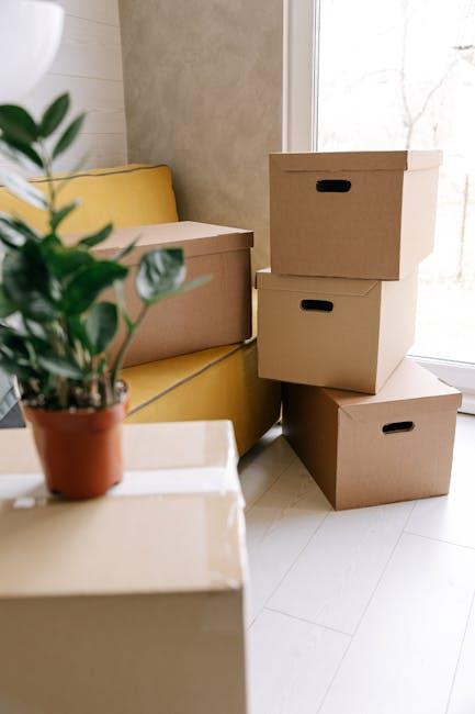 Practical Tips for Transitioning Smoothly to the GAPS Lifestyle