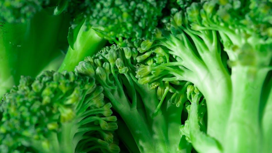Exploring the Benefits of Low-Carb Vegetarian Eating