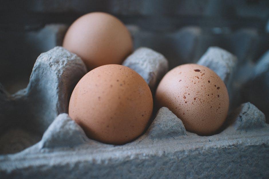 Balancing Nutrition and Savings Without Compromise