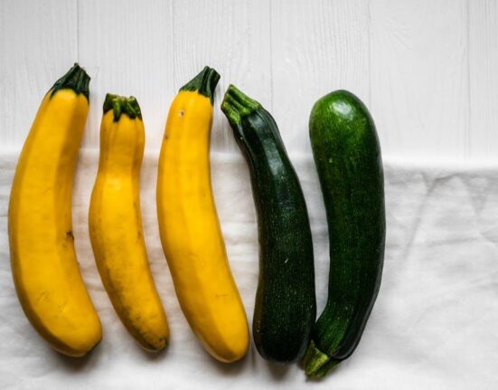 Seasonal Recipes for Gut Health