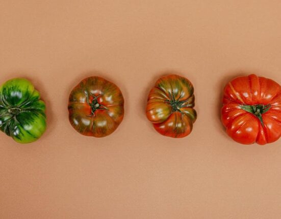 Stages of the GAPS Diet Explained