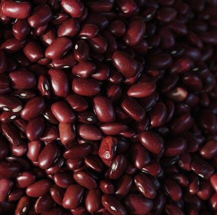 Essential Pantry Staples for GAPS Beginners