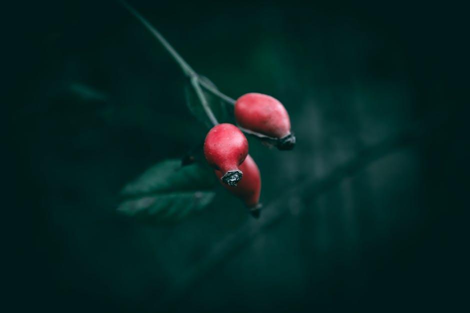 Healing Leaky Gut Naturally