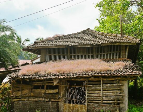 Creating a Gut-Friendly Home Environment