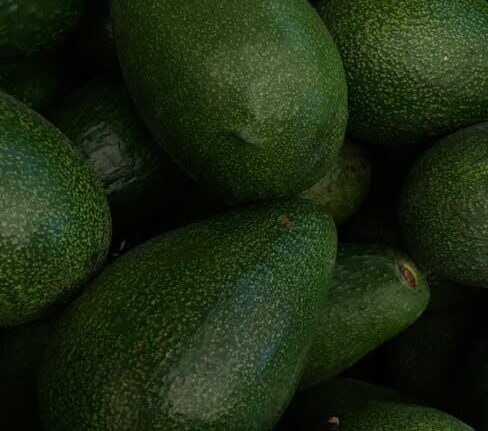 Benefits of the Keto Diet for Weight Loss