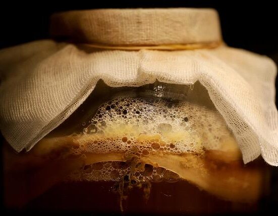 Best Fermented Supplements for Gut Healing