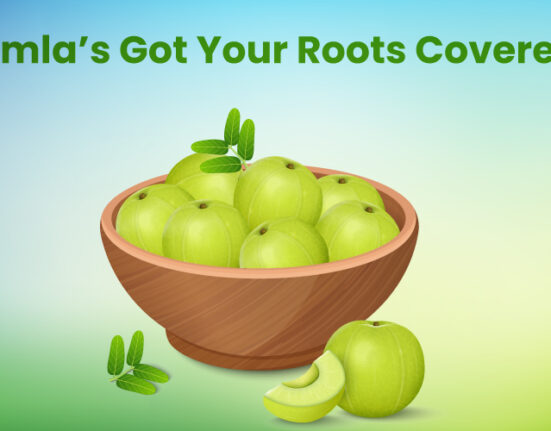 Amla Benefits for Hair