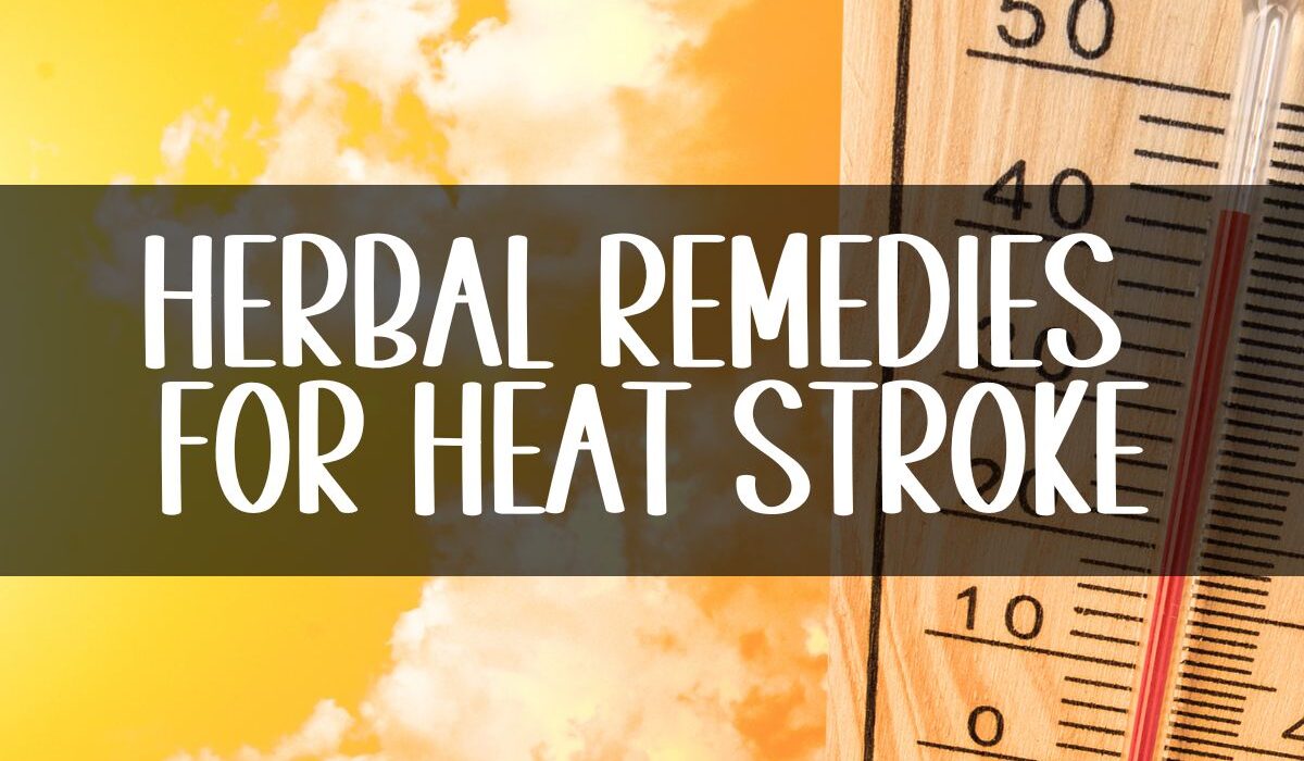 herbal remedies for heat stroke - a photo of rising temperatures.
