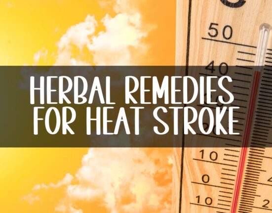 herbal remedies for heat stroke - a photo of rising temperatures.