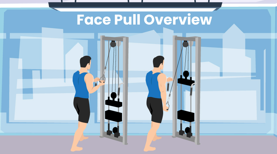 Face pull exercises