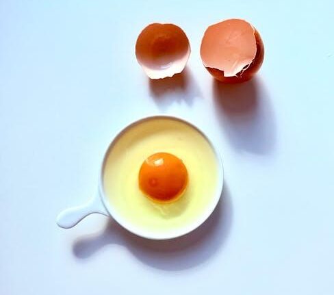 Foods That Heal the Gut