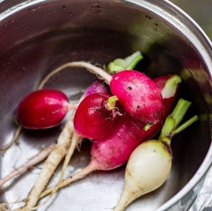 One-Pot Meals for the GAPS Diet