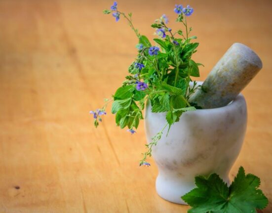 Top Ingredients for Gut-Healing Meals