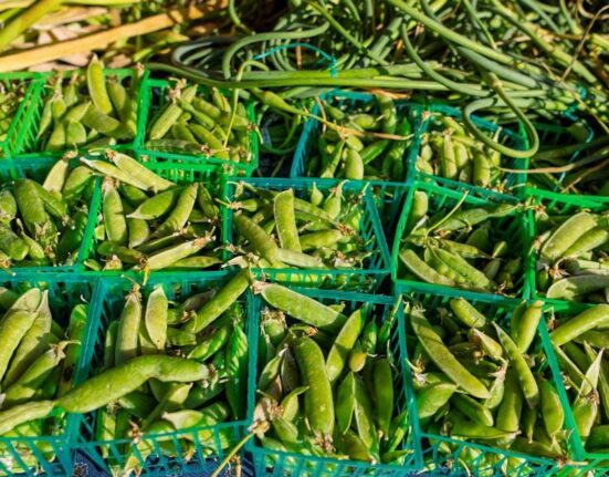 GAPS Diet and Gut Healing Stories