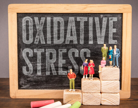 what is oxidative stress