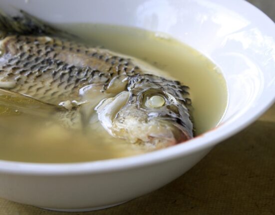Fish Stock Variation