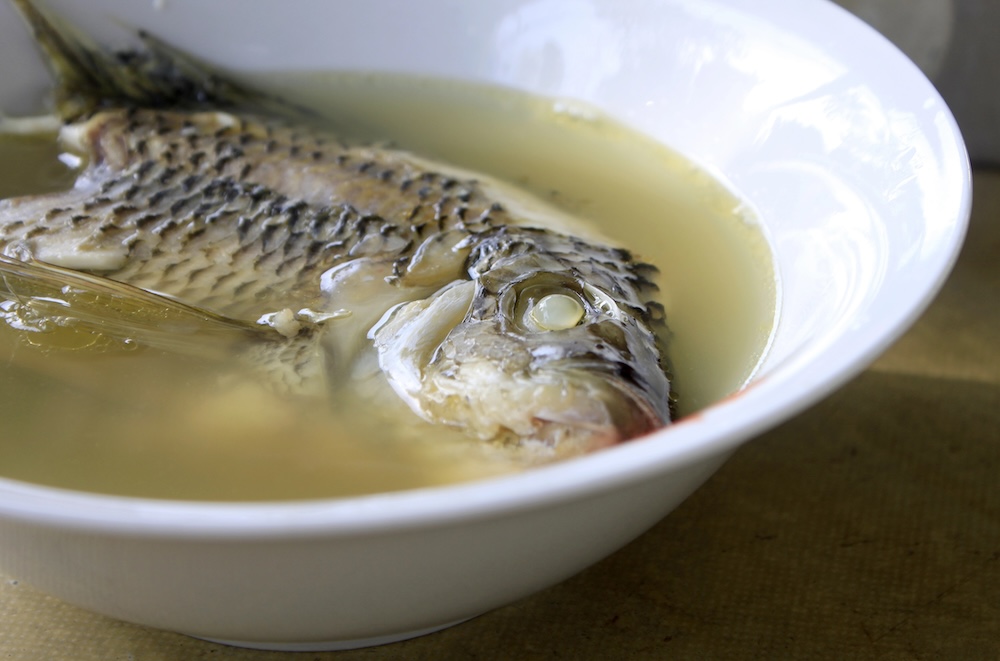 Fish Stock Variation