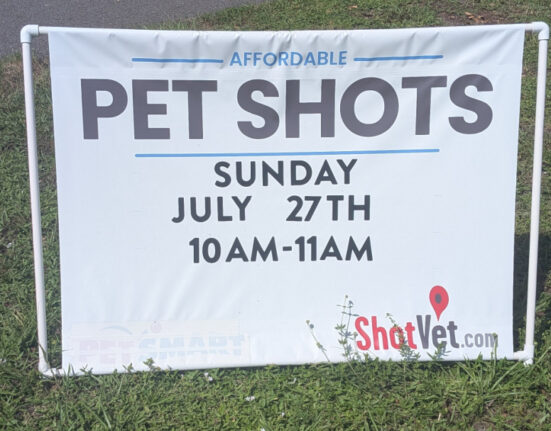 Is Your Pet's Vaccination Making You Sick?