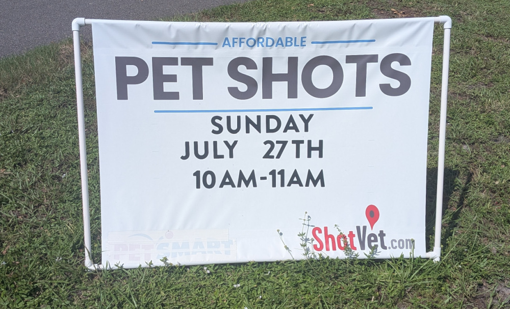 Is Your Pet's Vaccination Making You Sick?