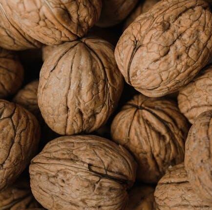 Essential Pantry Staples for Keto Beginners