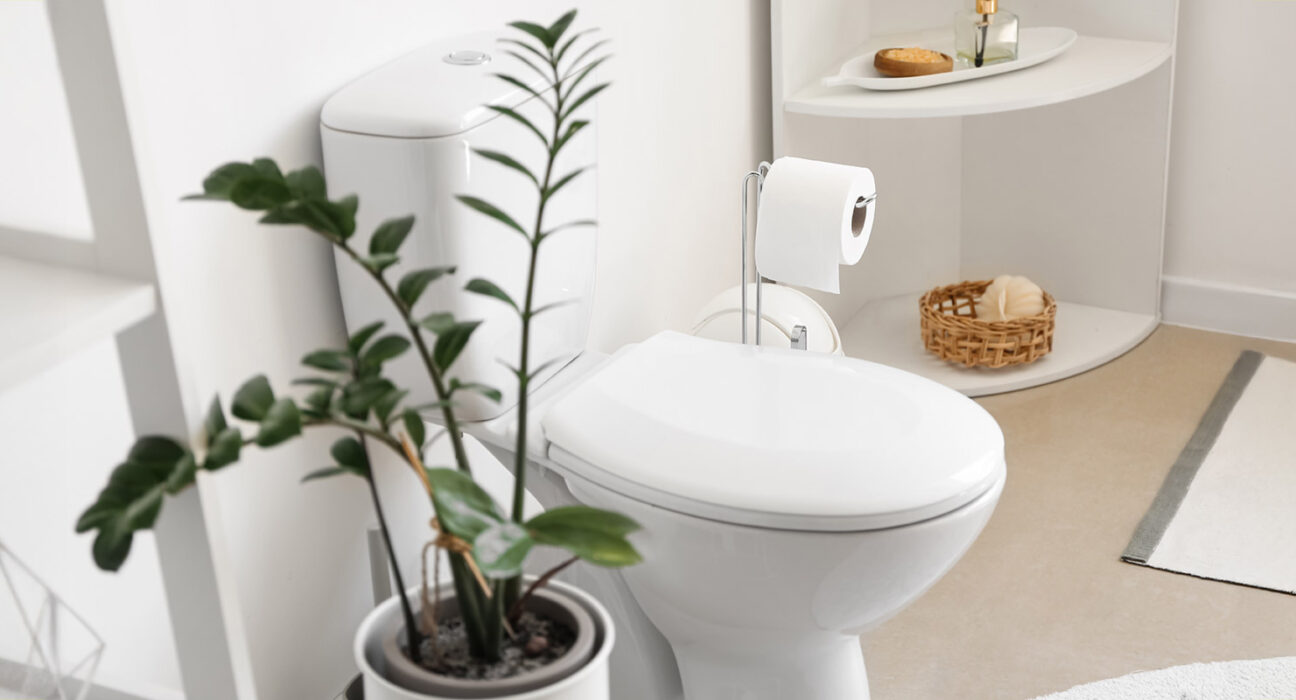Supplements That Help You Poop Better, Naturally