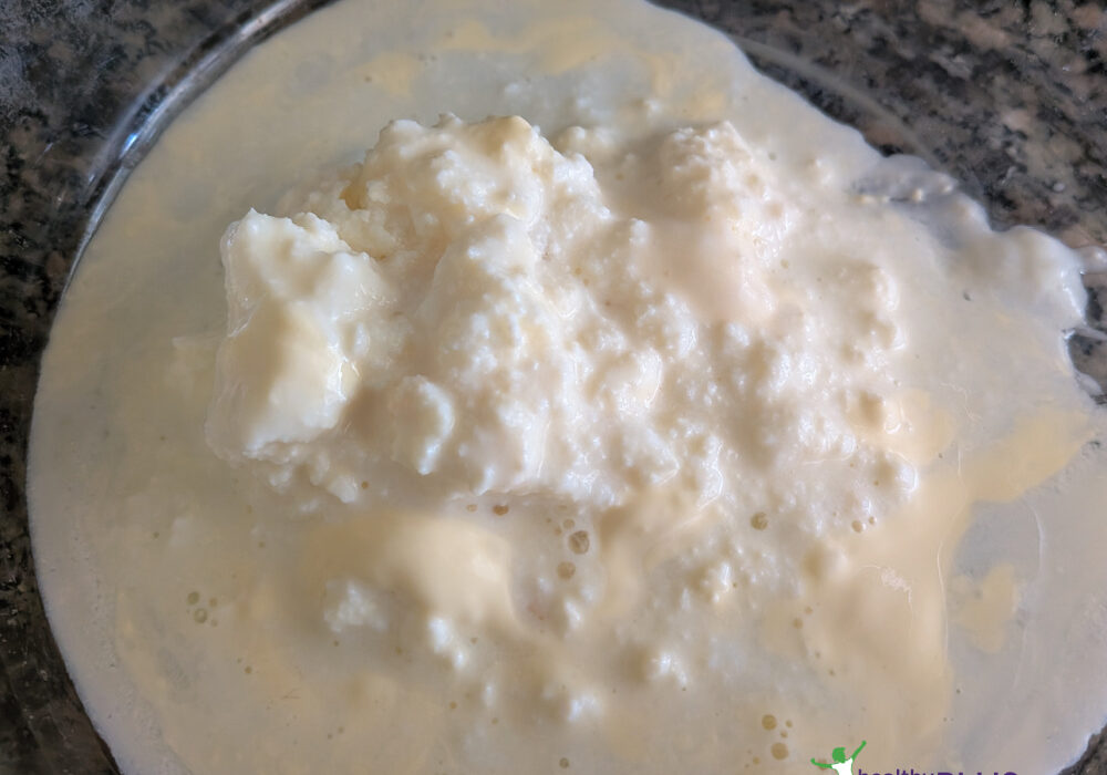 Growing Live Kefir Grains from Scratch