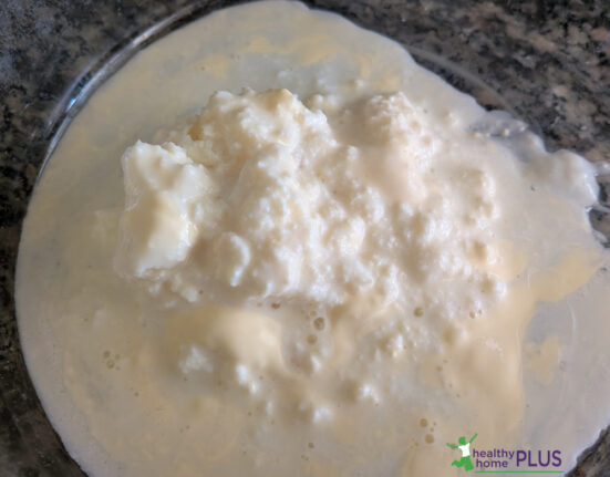 Growing Live Kefir Grains from Scratch