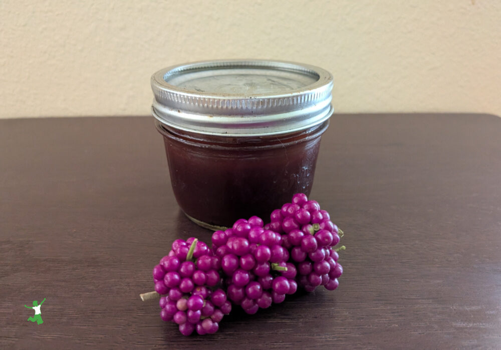 homemade American beautyberry jam in small mason jar with sprig of fresh berries